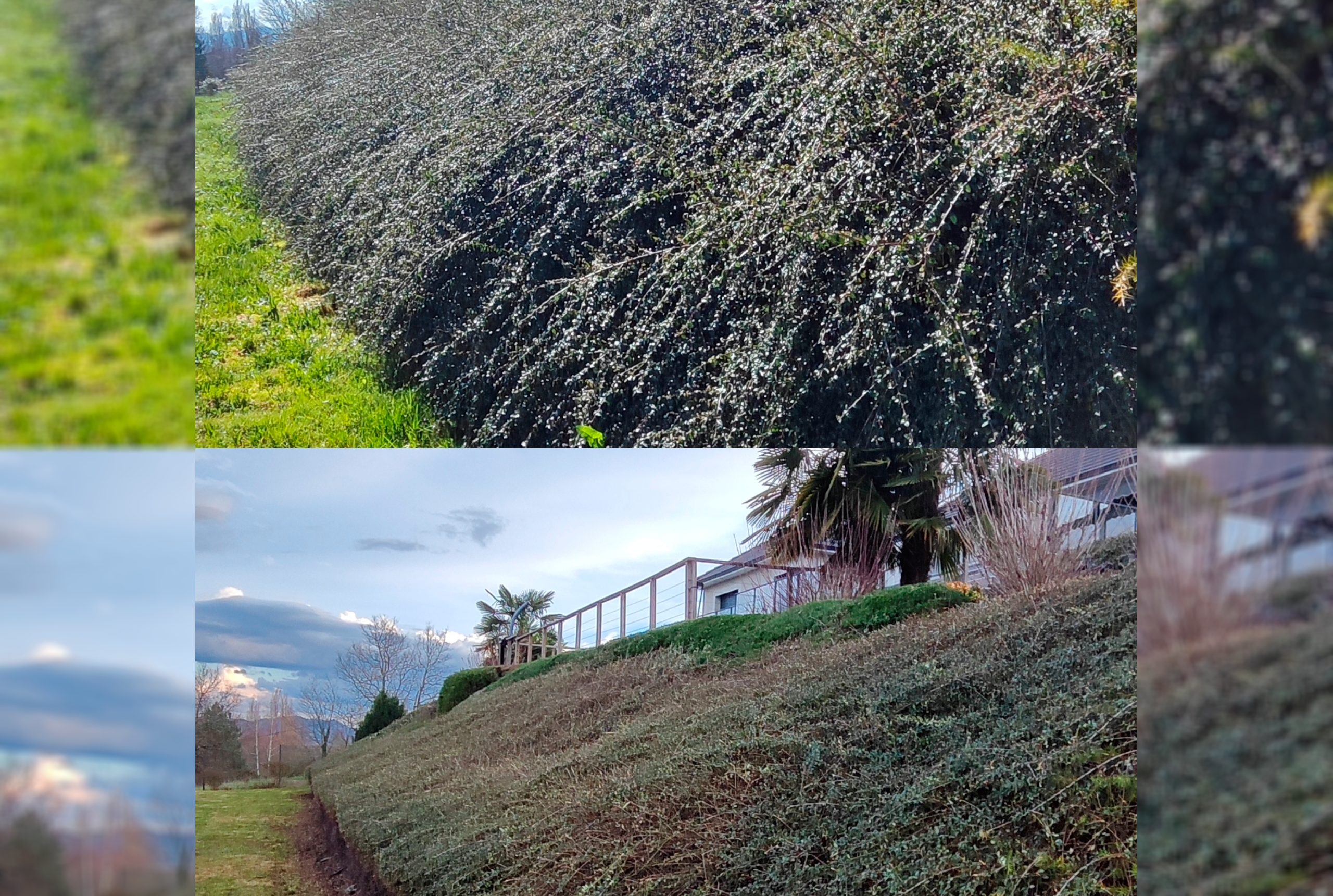 Entretien espace vert Brive-la-Gaillarde